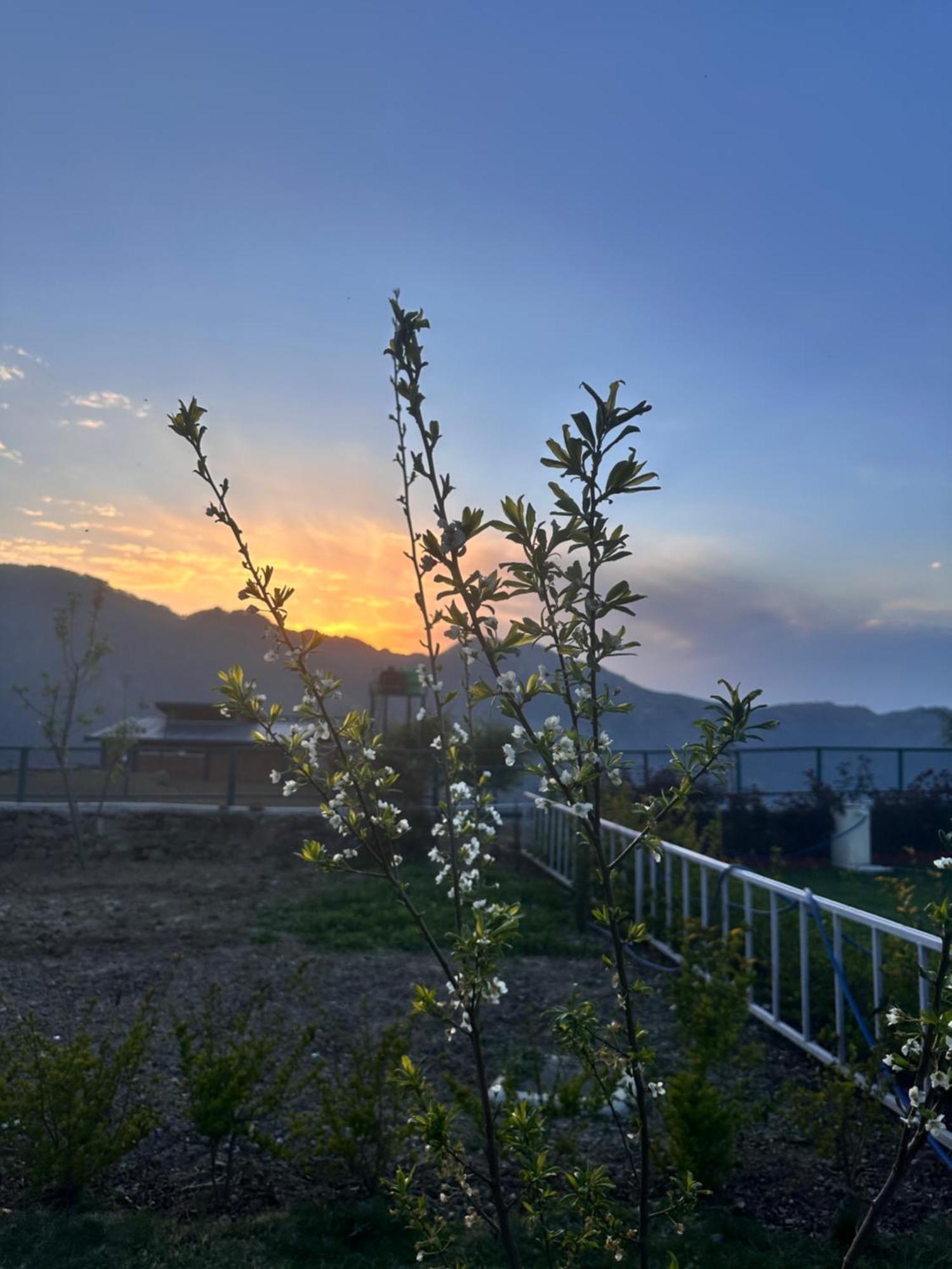 Highfield Villa Kanatal Exterior photo